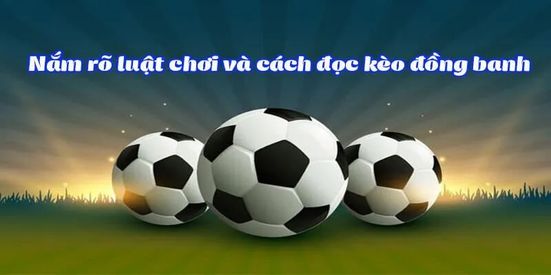 Hướng dẫn tân thủ đọc kèo đồng banh Hướng dẫn tân thủ đọc kèo đồng banh