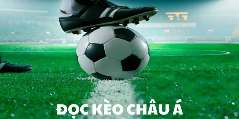 Hiểu đúng về các lệ kèo Châu Á cơ bản nhất Hiểu đúng về các lệ kèo Châu Á cơ bản nhất